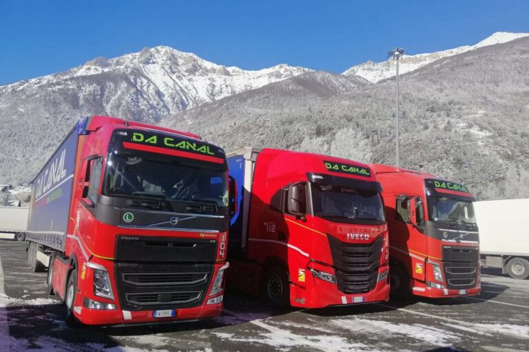 In questo articolo andremo a valutare due problemi in particolare, ovvero l’elevata tassazione associata a una pesante burocrazia e la mancanza di personale sia per il trasporto che specializzato.